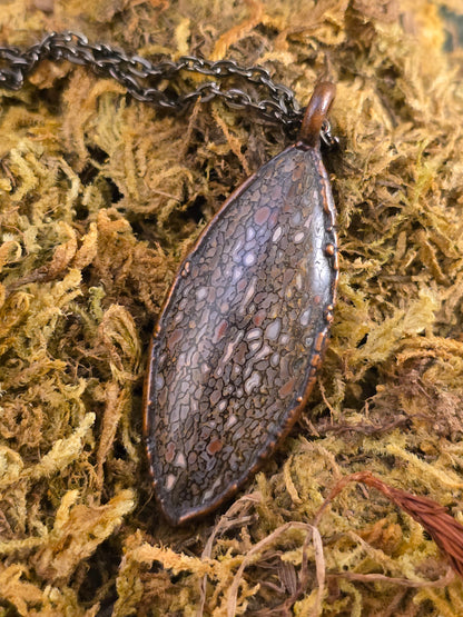 Fossilised Dinosaur Bone Pendant - Oval Gemstone - Copper Electroformed